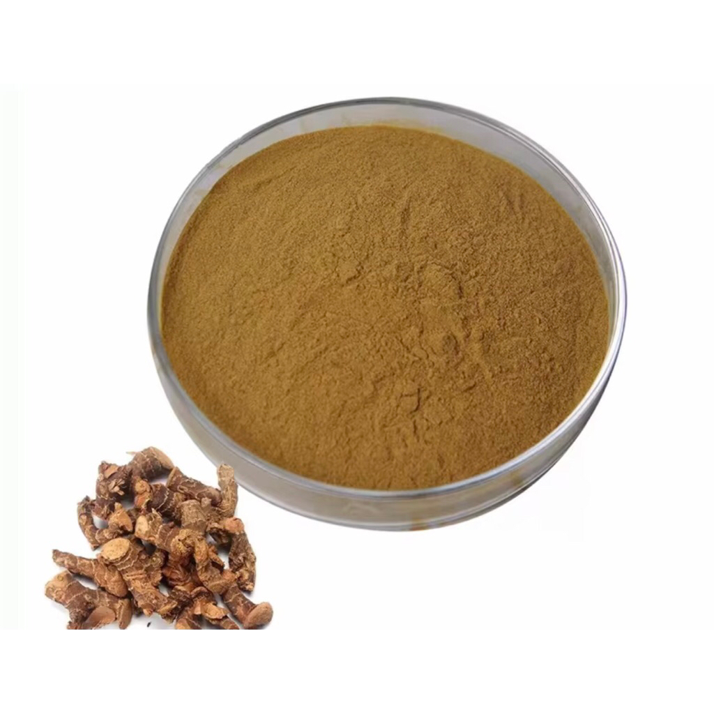 

Ekstrak Bubuk Kencur Galangal Powder Extract
