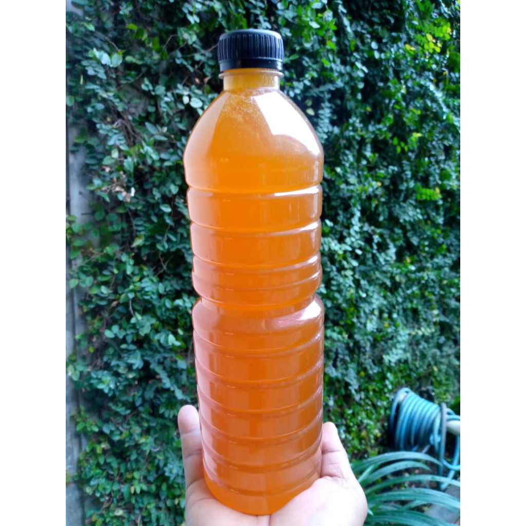 

madu Jatim Apisdorsata