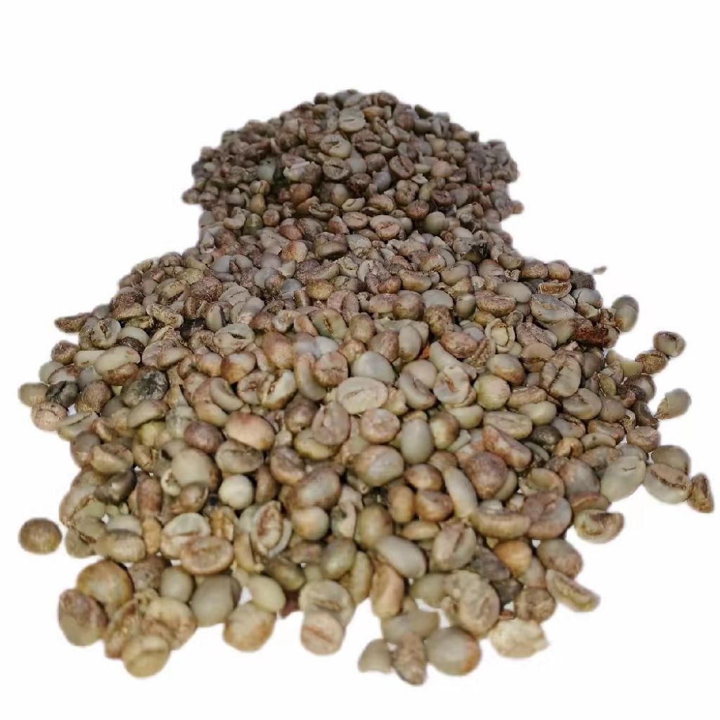 

Kopi Robusta Lampung Biji Kopi Mentah Belum Di Goreng Sangrai Kemasan 1Kg