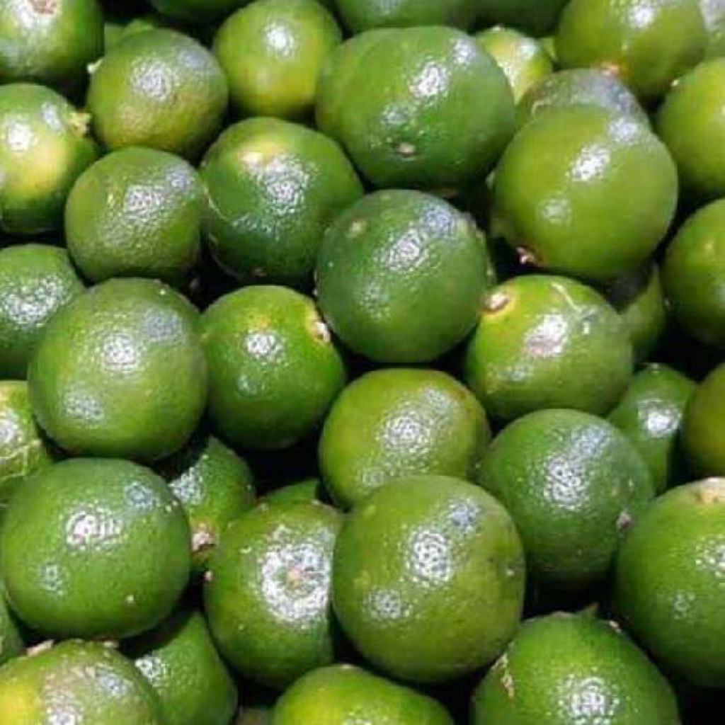 

Jeruk kunci / jeruk sonkit