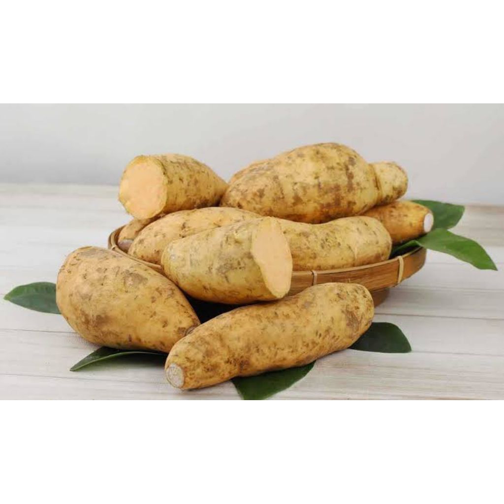 

Ubi Jalar Kuning / Ubi Madu Cilembu / Ubi Rambat / Seet Potato Fresh