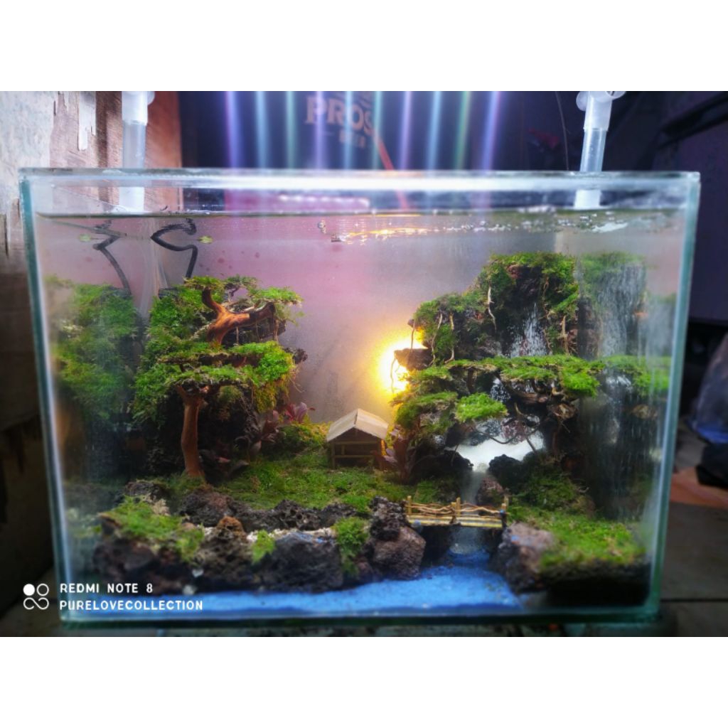 Aquarium aquascape fullset 40cm