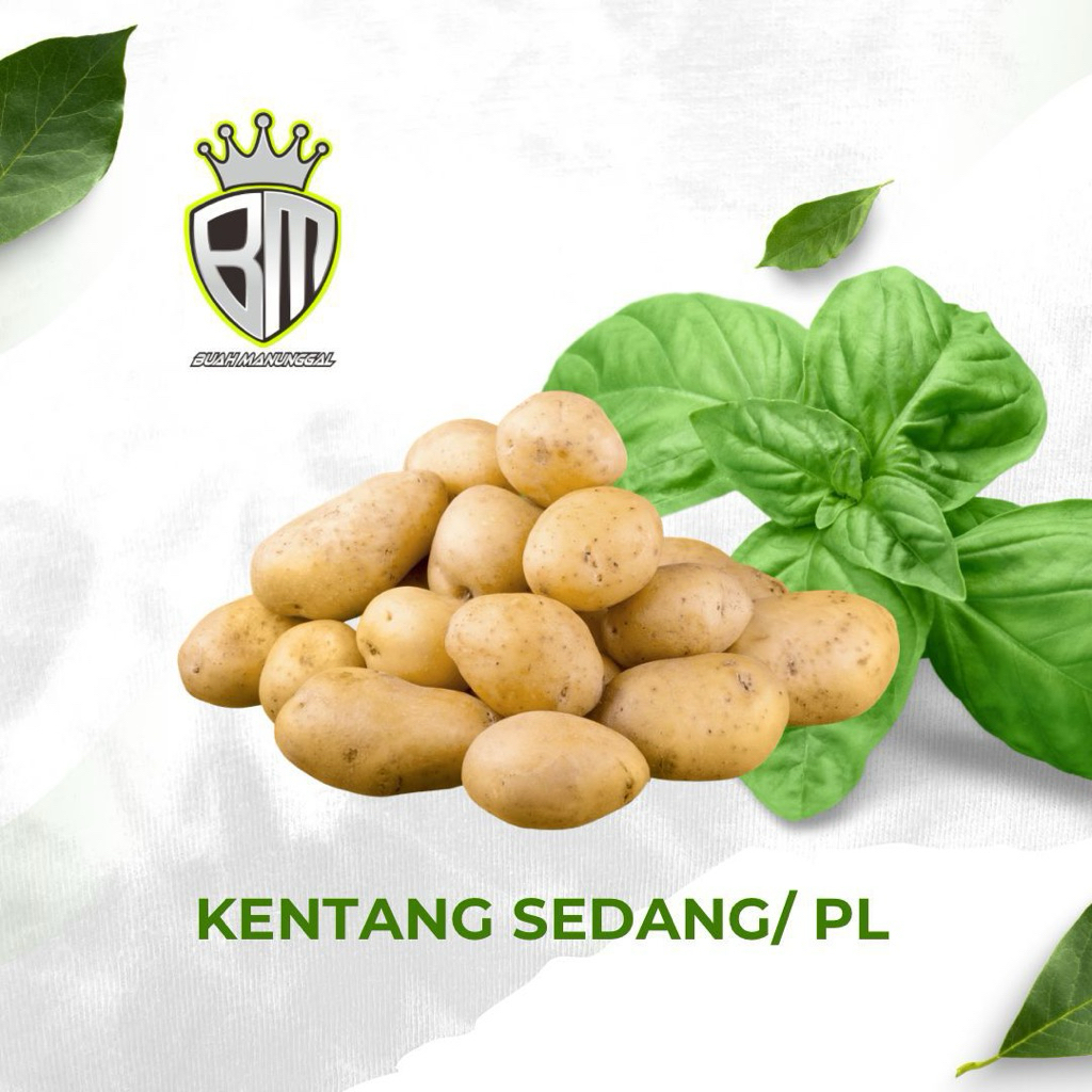 

Kentang Batu Malang ukuran sedang PL 1kg 11-15 biji / Kentang Segar / Kentang fresh / Sayur segar
