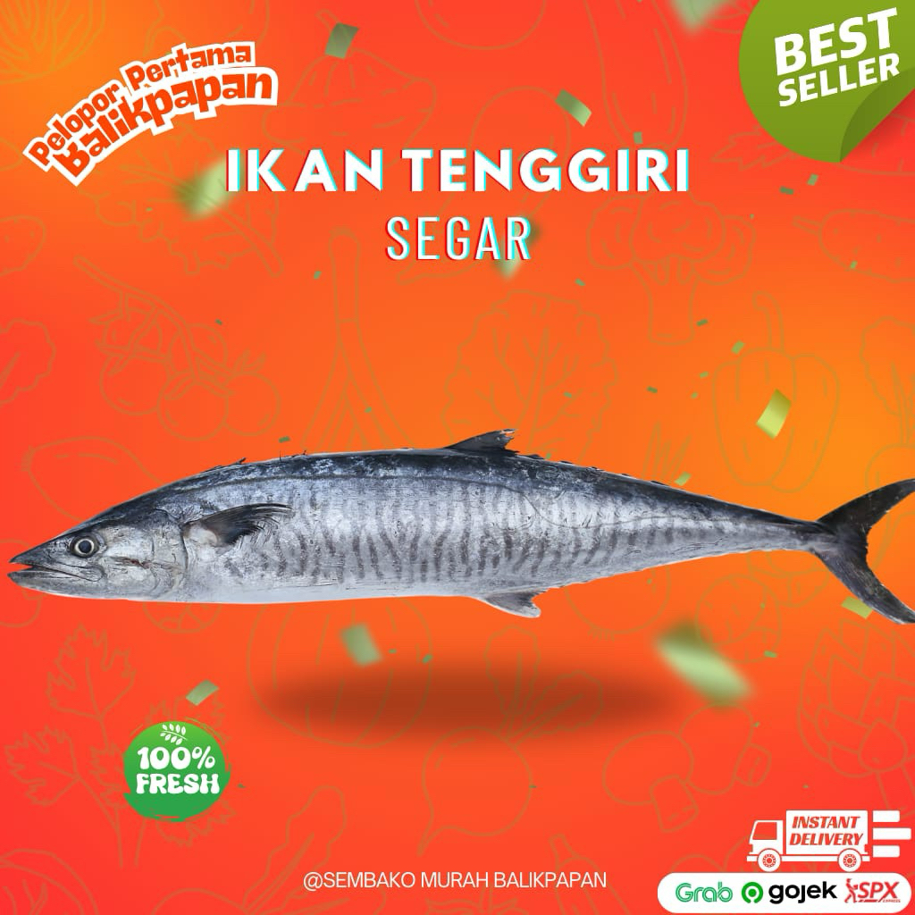 

ikan tenggiri 1 kg (pagi)