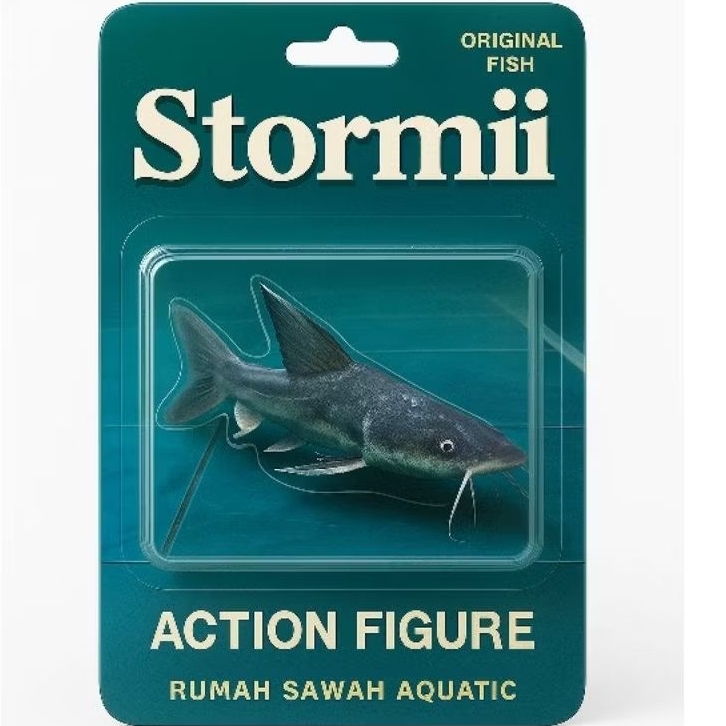 Stormi catfish / Hemiarius Stormii 9-10cm