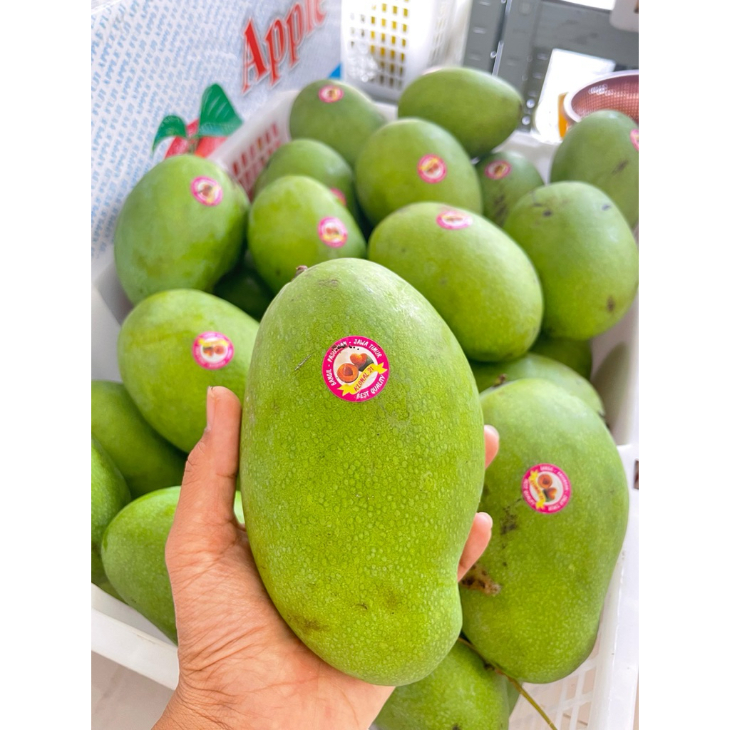 

Mangga Harumanis bangil 1kg (isi 2)