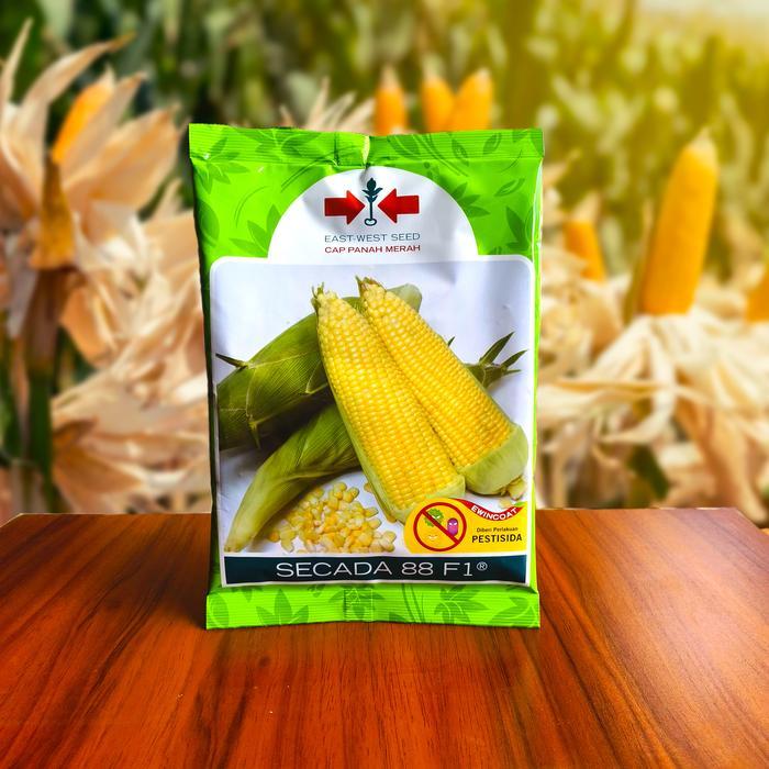 

HOT PROMO +++ Benih Jagung Manis SECADA 88 F1 Isi 1750 Butir ORIGINAL KEMASAN PABRIK