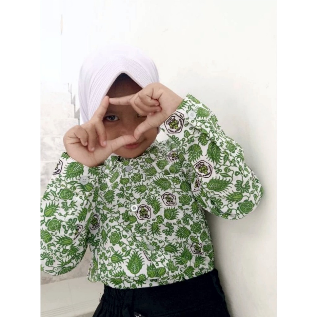 Baju Batik Paud Hijau Seragam Batik Anak TK Seragam Sekolah Batik Paud 1-10 Tahun