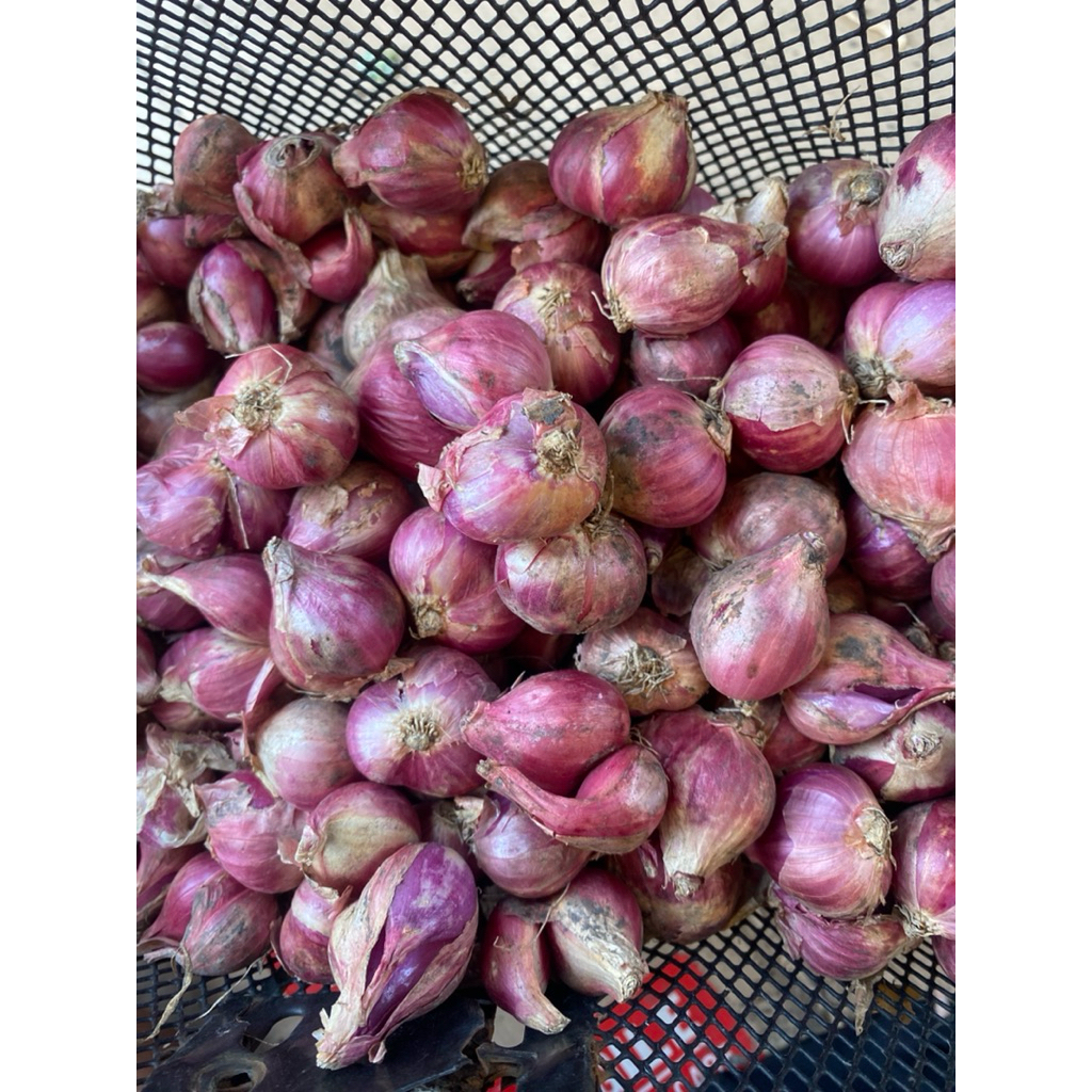 

BAWANG MERAH ASLI NGANJUK UKURAN TANGGUNG BESAR FRES