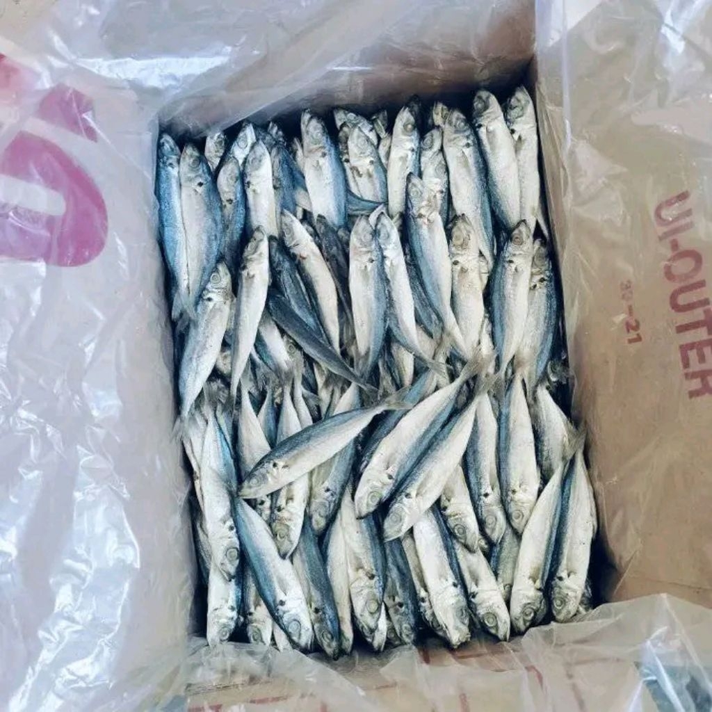 

Ikan Asin Bulet Segar 250gram