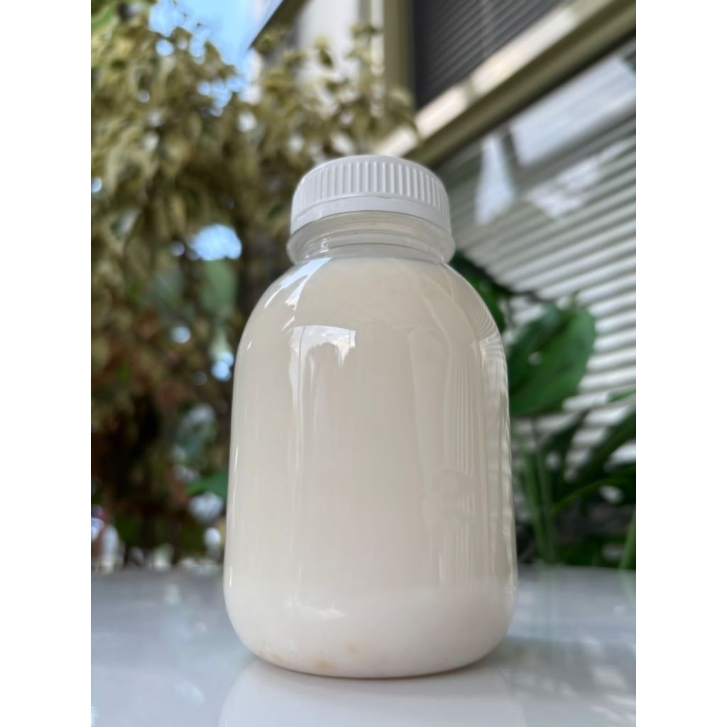 

coconut milk 250 ml