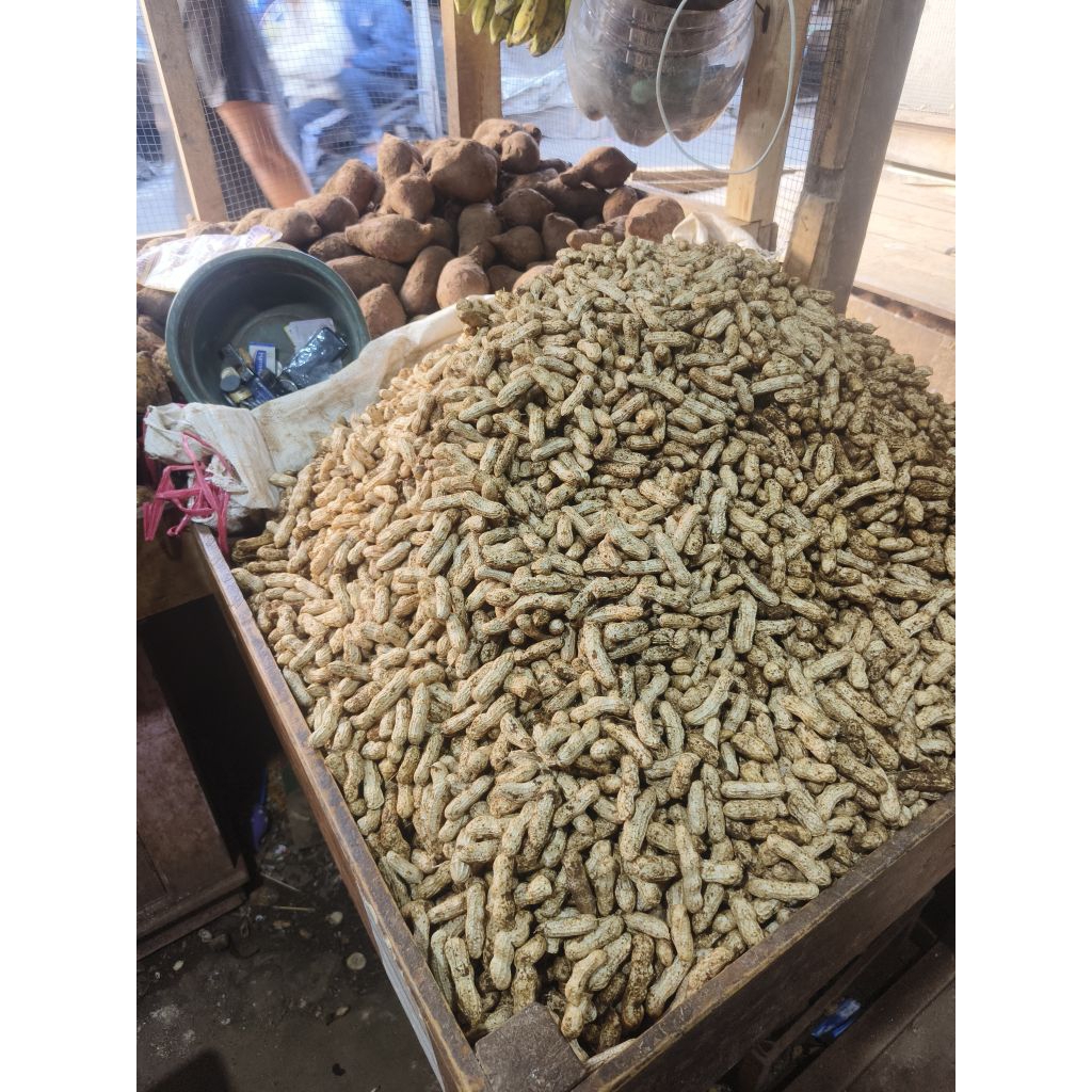 

kacang tanah mentah 1 kg