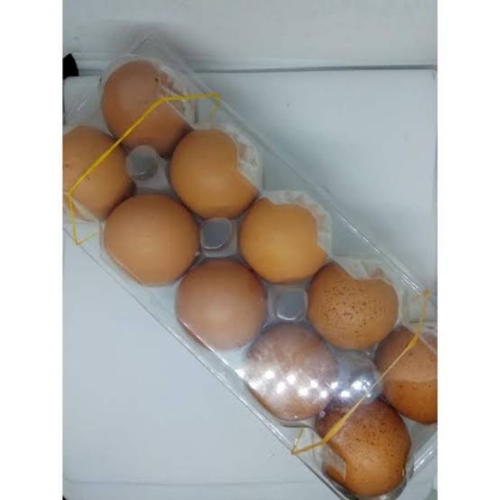 

telor ayam isi 10pcs bok
