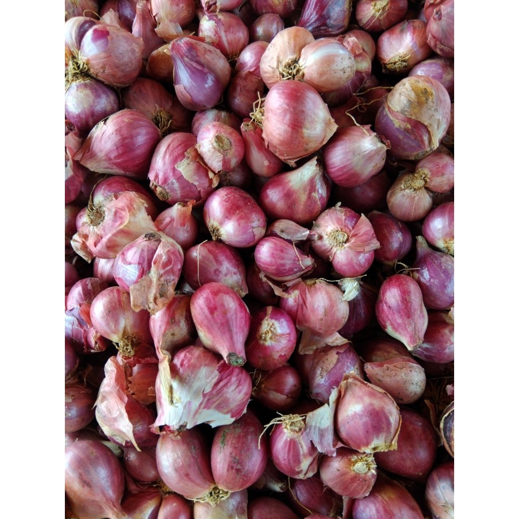

bawang merah.
