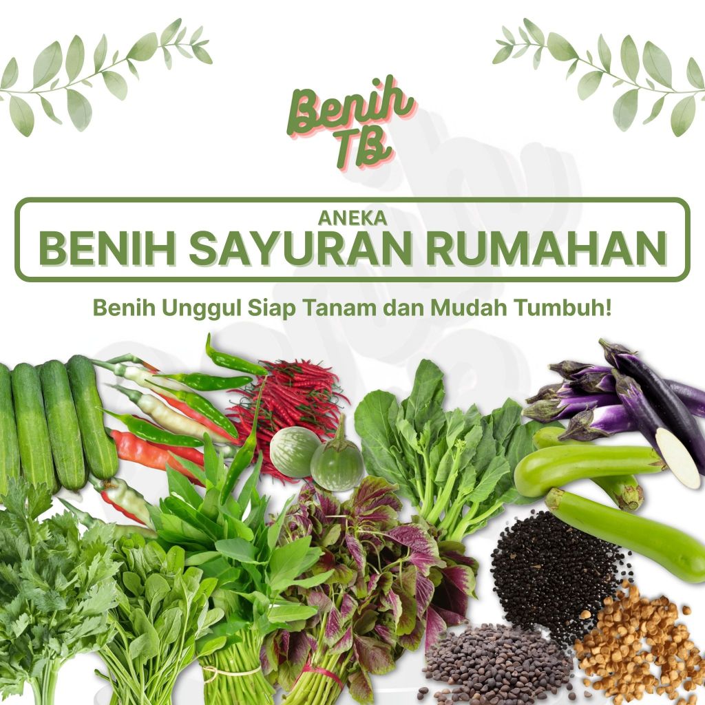 Benih TB Aneka Benih Sayur Sayuran Rumahan Unggul dan Lengkap