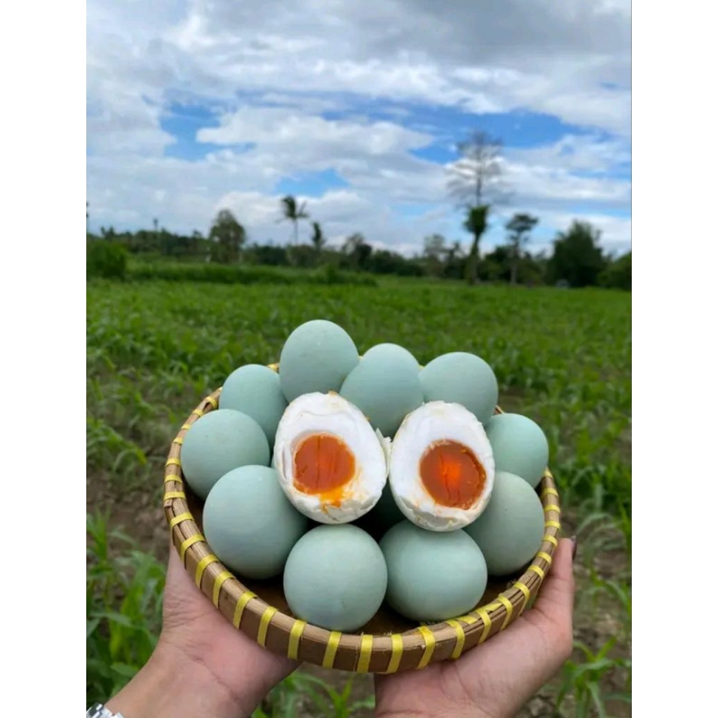 

Telur asin bebek Matang (isi 4butir, 6butir,10butir)