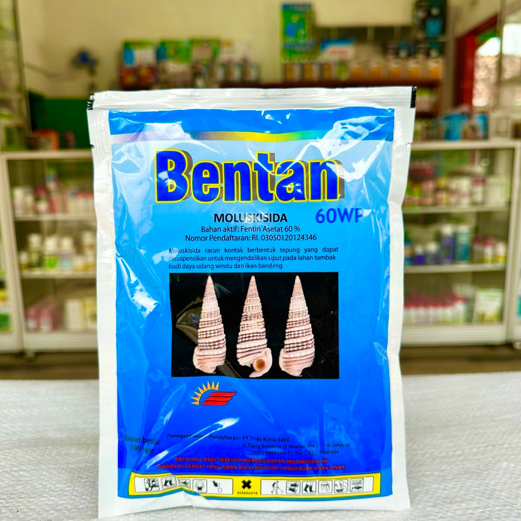 BENTAN 60wp 100gram - RACUN KEONG AMPUH BENTAN