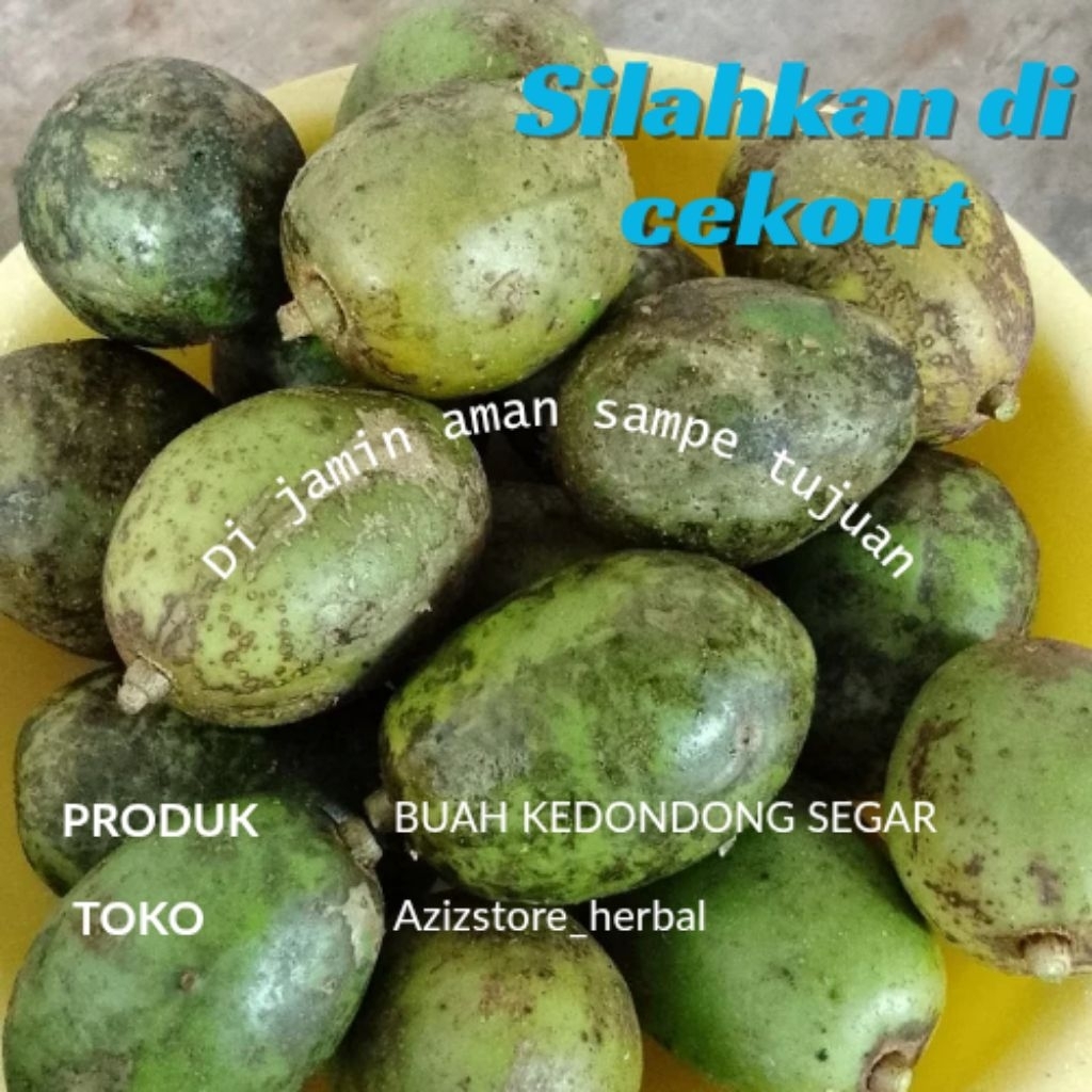 

buah kedondong segar berat 750 gram siap kirim