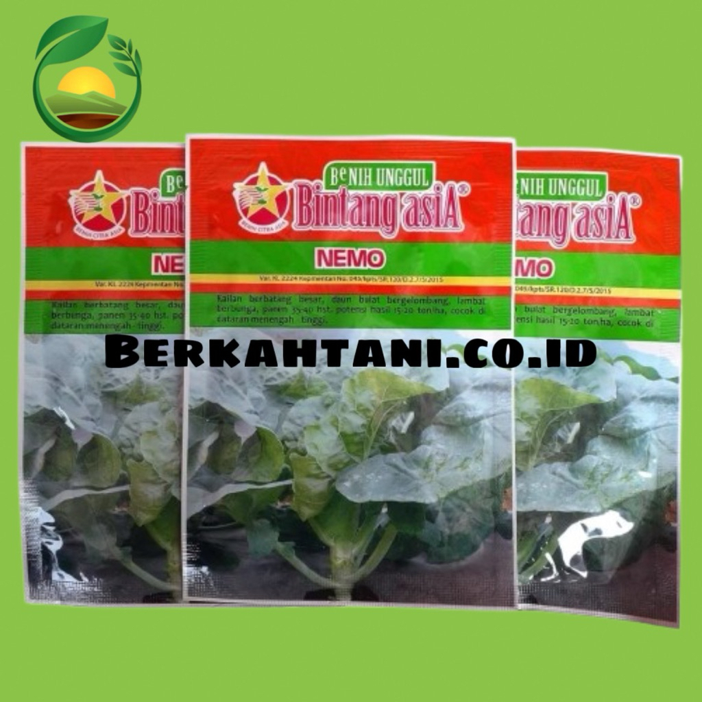 Nemo 10gr Benih Sayuran Sawi Hijau Kailan Bintang Asia 100% Original Nita Sakura