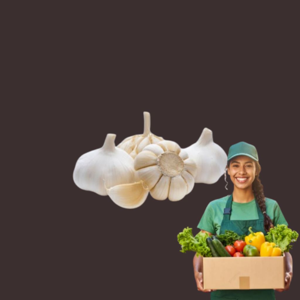 

BAWANG PUTIH LOKAL 250GR