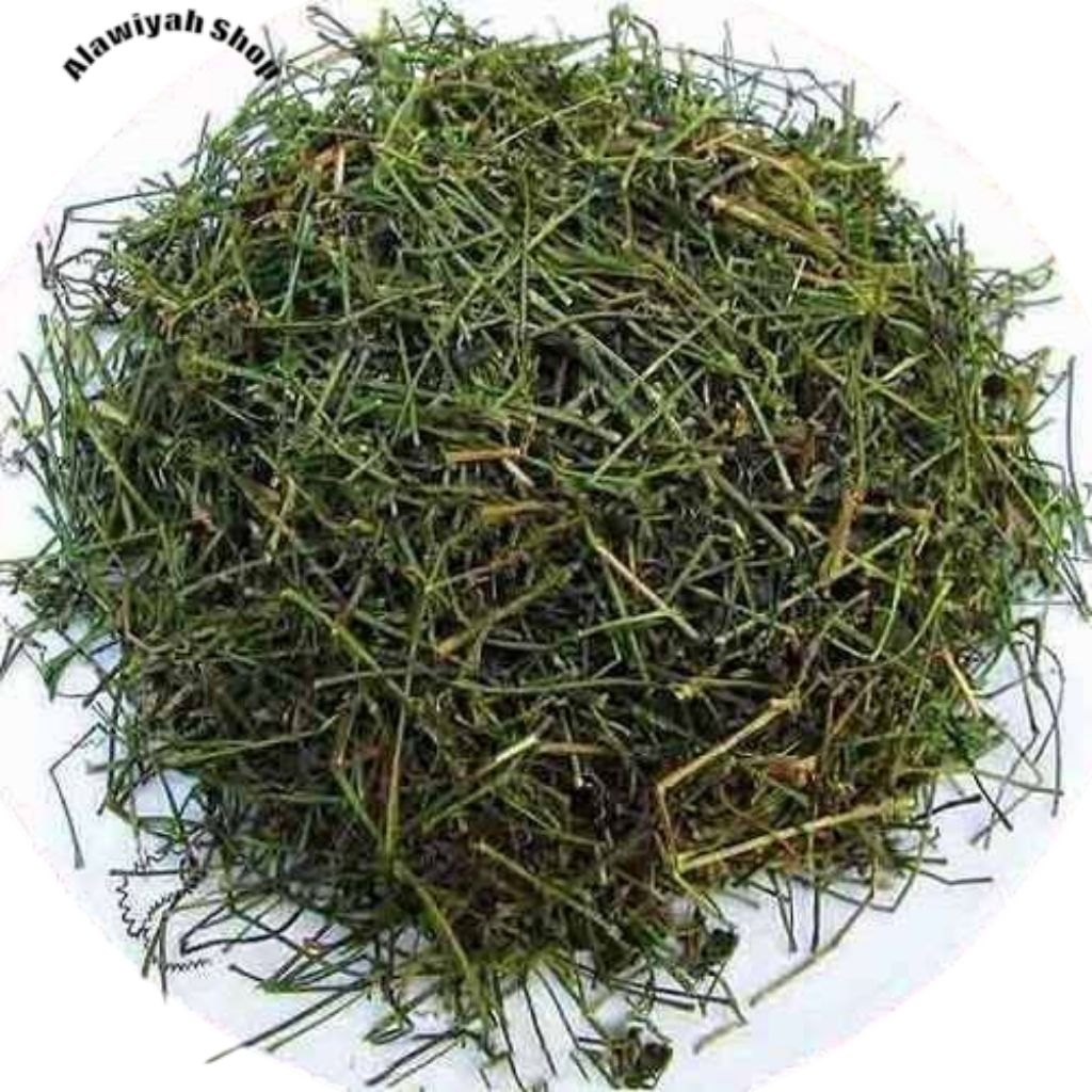 

Daun Putri Malu Kering 200 Gram