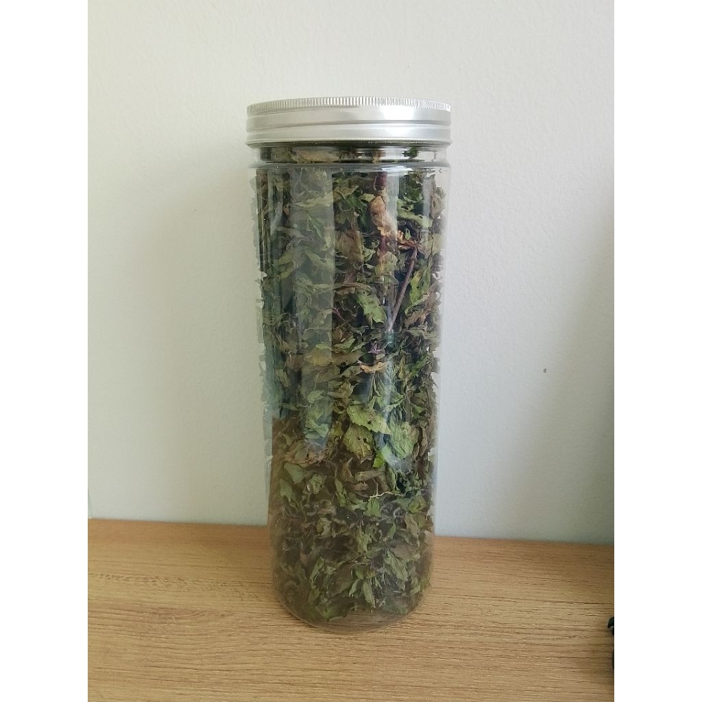 

Teh Daun Kumis Kucing Kering Teh Batu Ginjal Java Kidney Tea Orthosiphon Aristatus Herbal Teh Untuk Kesehatan Ginjal