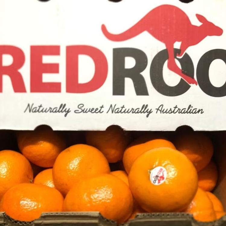 

Jeruk Honey Murcott Australia Redroo Comp /kg