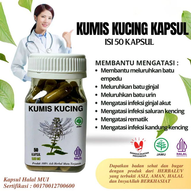 Kapsul Kumis Kucing Original Herbal