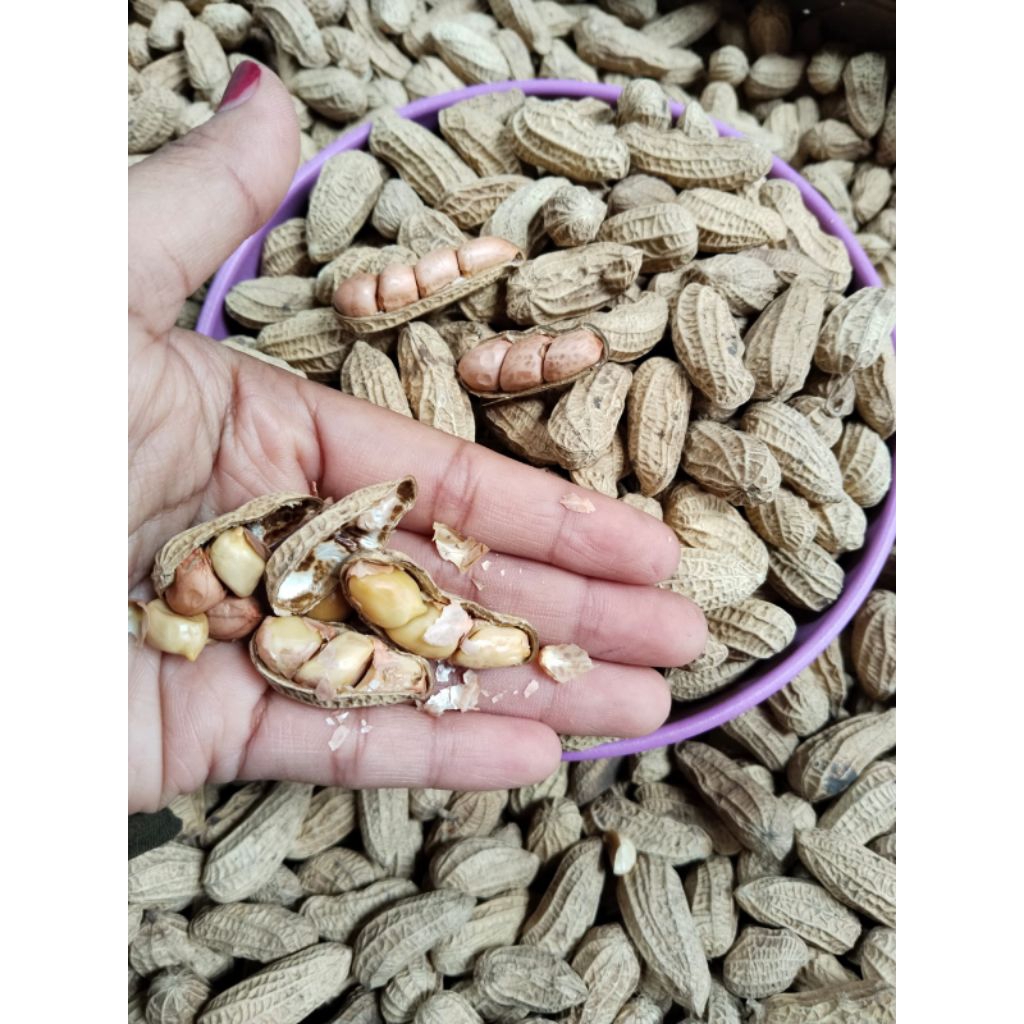 

Kacang Goreng Pasir Original Bendo 1 KG