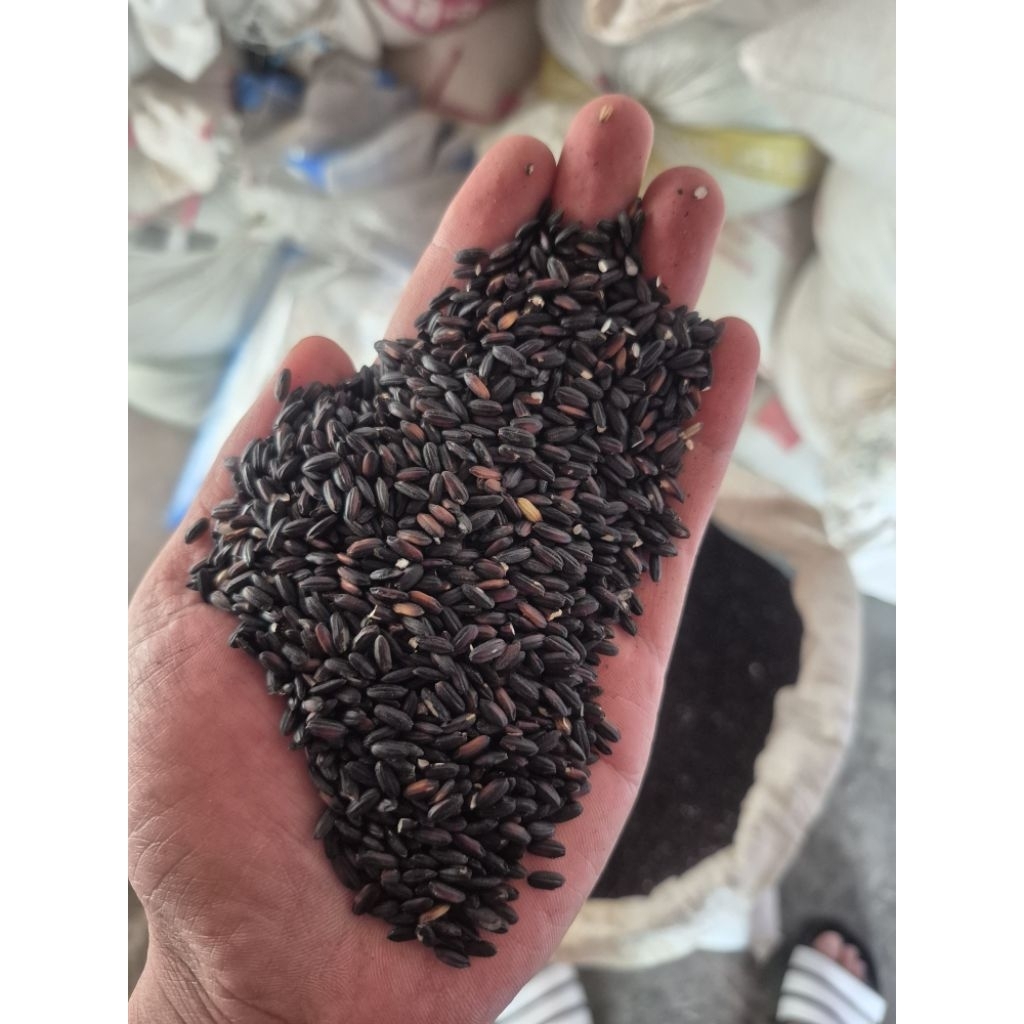 

CHJ Beras Ketan Hitam asli 100% (1kg)