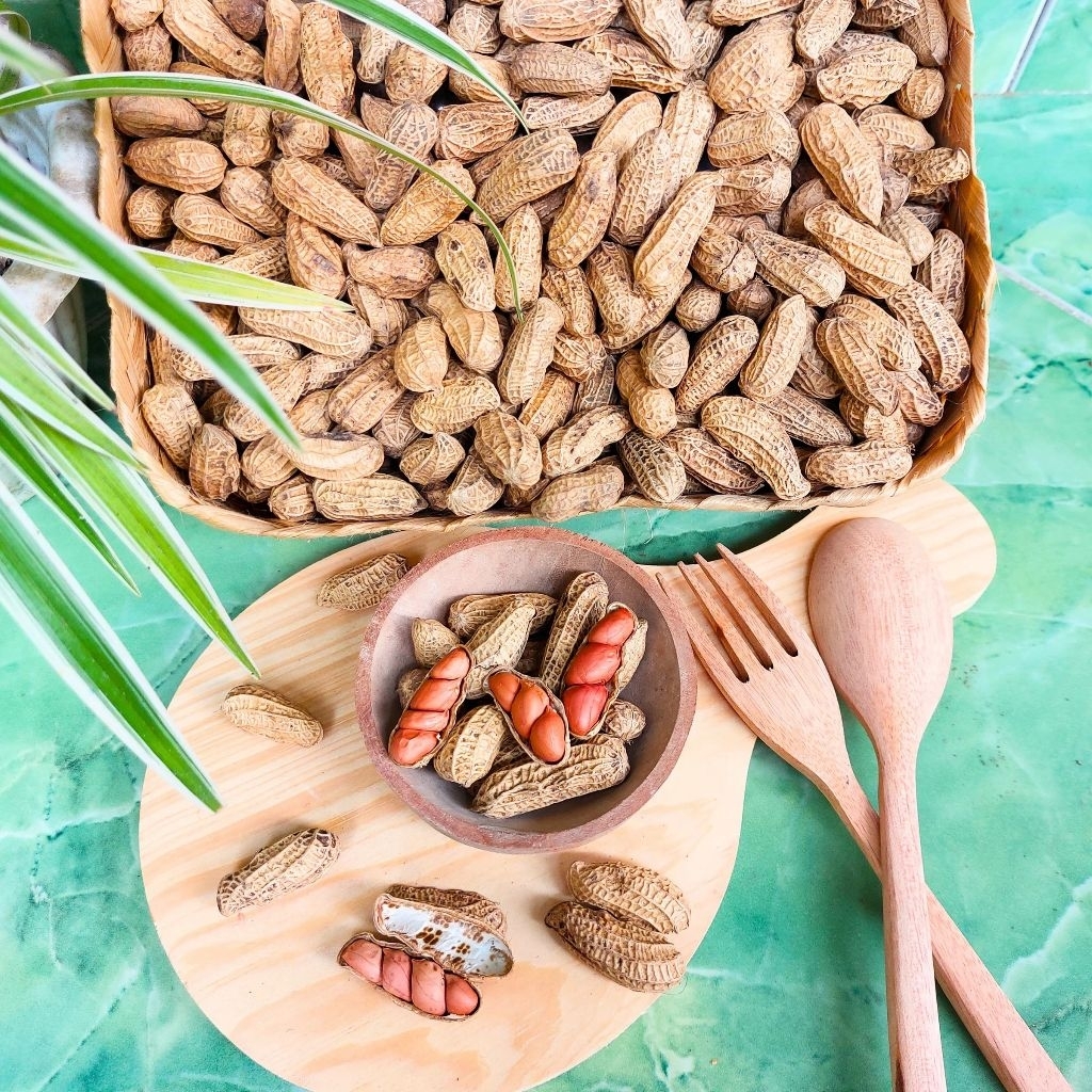 

Kacang Sangrai - Gurih Alami, Tanpa Minyak, Tanpa MSG.