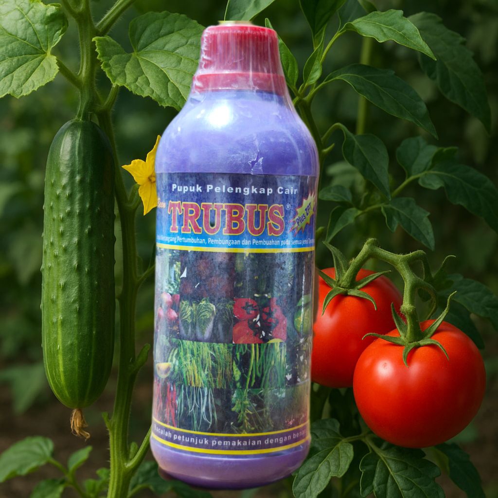 PUPUK DAUN BEEN TRUBUS 500 ML