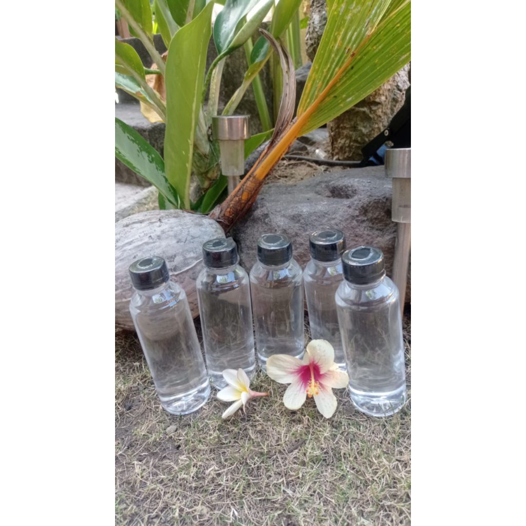 

Minyak Kelapa Tandusan asli Bali dengan kemasan 250 ml (5 botol) oleh oleh khas Bali