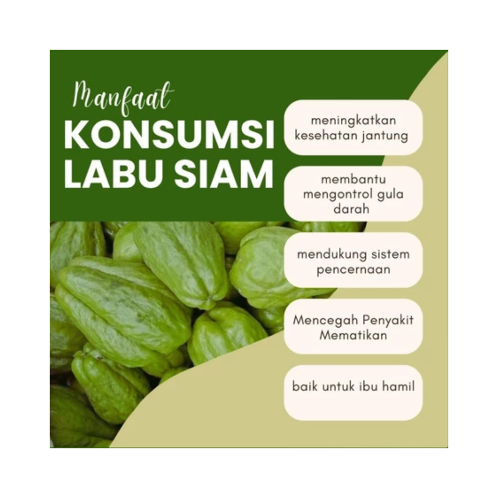 

PROMO Fresh Labu Siam BABY 100kg /Jipang/Manisa Segar Siap masak !!