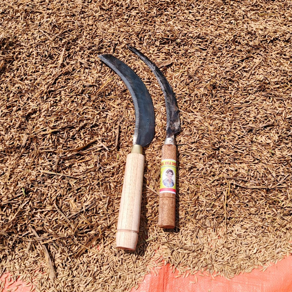 Arit Padi Gergaji 2 pcs