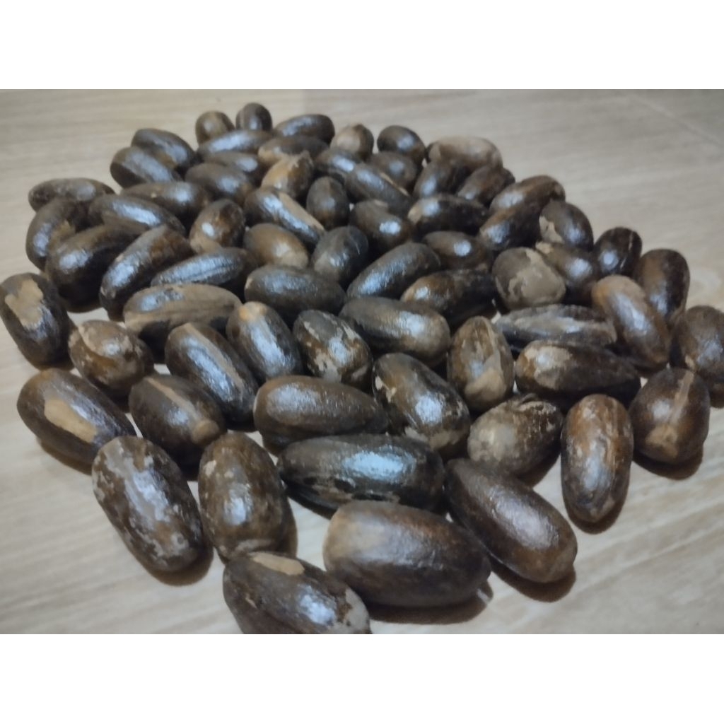 

biji pala kering lonjong.kocak