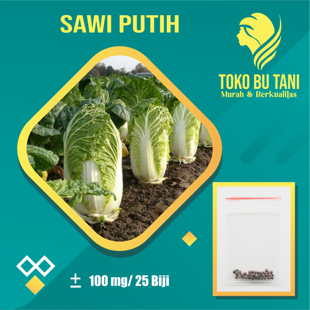 BTN Benih Sayuran Sawi Putih Bibit Sawi Putih Unggulan Bibit Sayuran Berkualitas