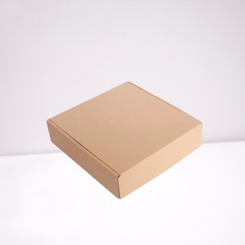 

Kardus Packaging Polos Pizza Die Cut Karton Kecil Ukuran 20x205cm