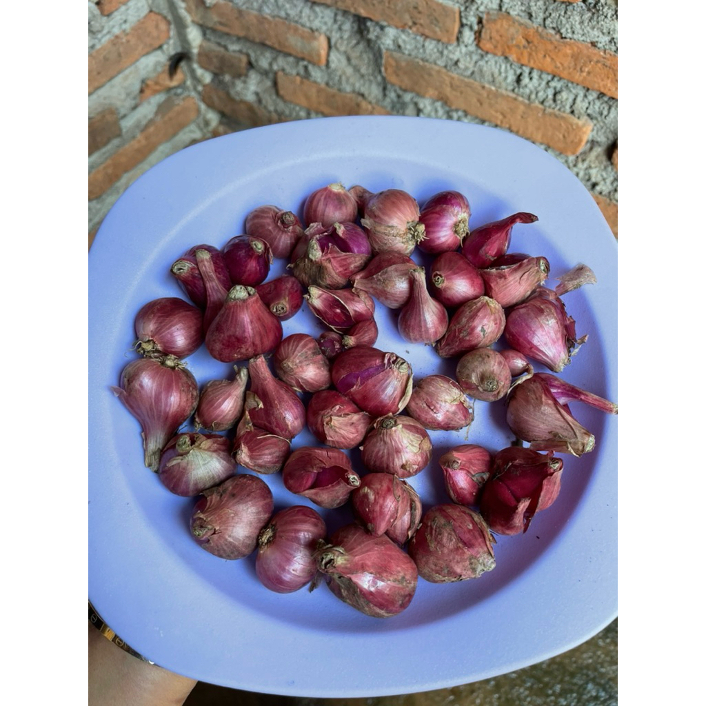 

BAWANG MERAH WONOGIRI KERING
