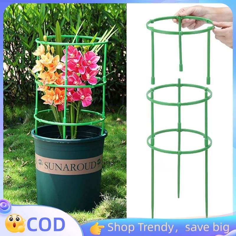 Ajir Penyangga Tanaman Penyangga Tanaman Rambat Penyanggah Tanaman Penyangga Tanaman