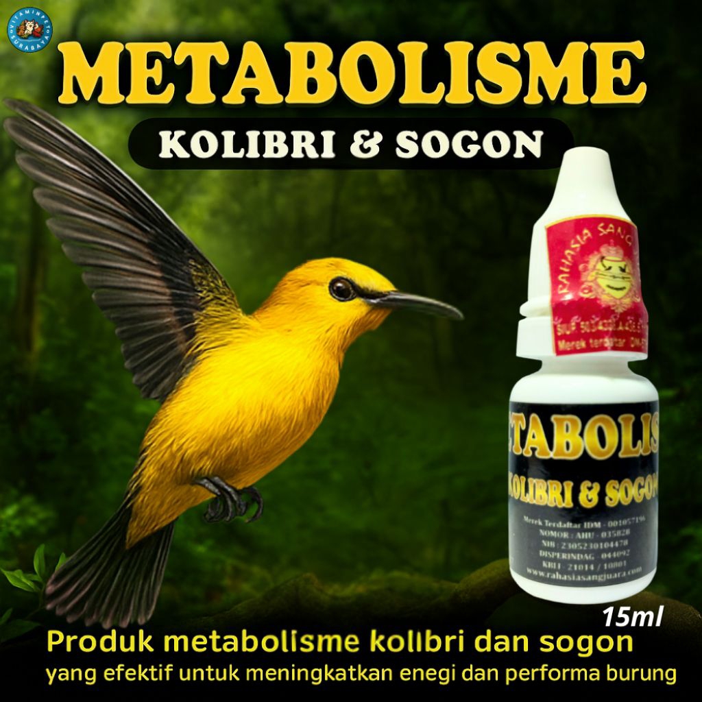 Metabolisme burung kolibri & sogon 15ml - Rahasia sang juara