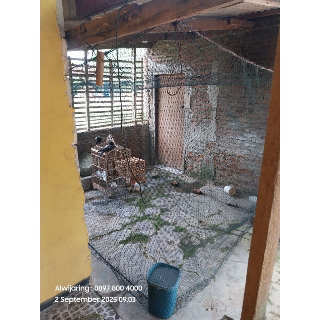 Jaring Kandang ayam Burung unggas Portable lubang 2cm tebal 1mm