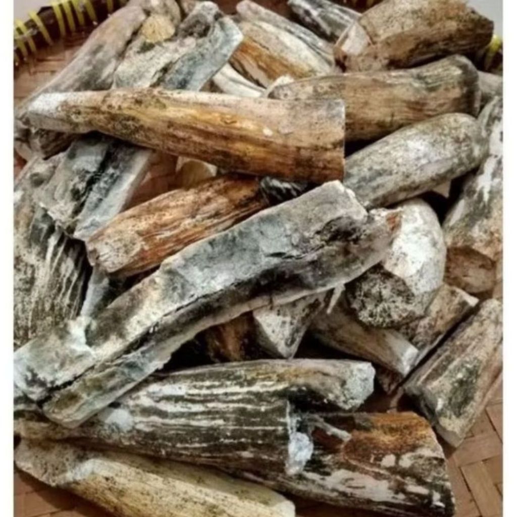 

Gatot Singkong Original 1kg – Bahan Masakan Tradisional Sehat