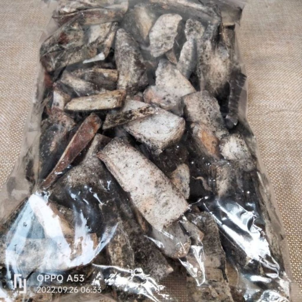 

Gatot Singkong Kering Kemasan 1kg – Olahan Singkong Siap Masak