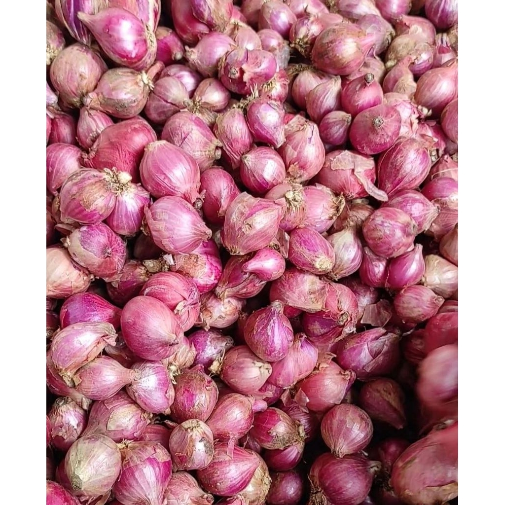 

BAWANG MERAH 500gr