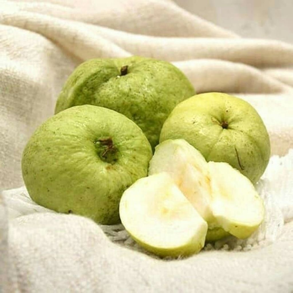 

jambu kristal fresh baru petik kemasan 1kg