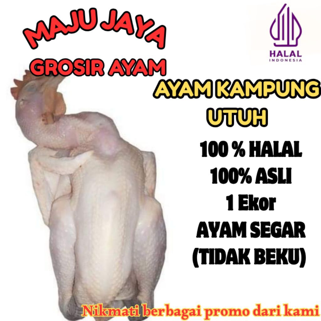 

AYAM KAMPUNG 1 EKOR UTUH 0.8 - 0.9 Kg (800-900gr) AYAM KAMPUNG ASLI / AYAM KAMPUNG SUPER / UTUH 1 EKOR TANPA JEROAN/ SEGAR / BERSIH / AYAM BROILER / AYAM NEGRI / AYAM BERKUALITAS /FRESH BERSIH / TIDAK BEKU / HALAL / AMAN DIKONSUMSI