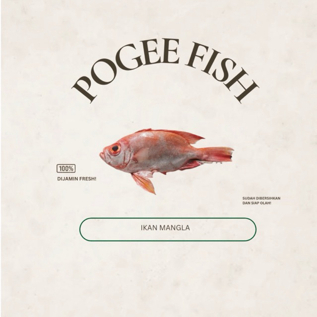 

Pogee Fish Ikan Swanggi/ Mangla Ikan Segar Khas Jimbaran