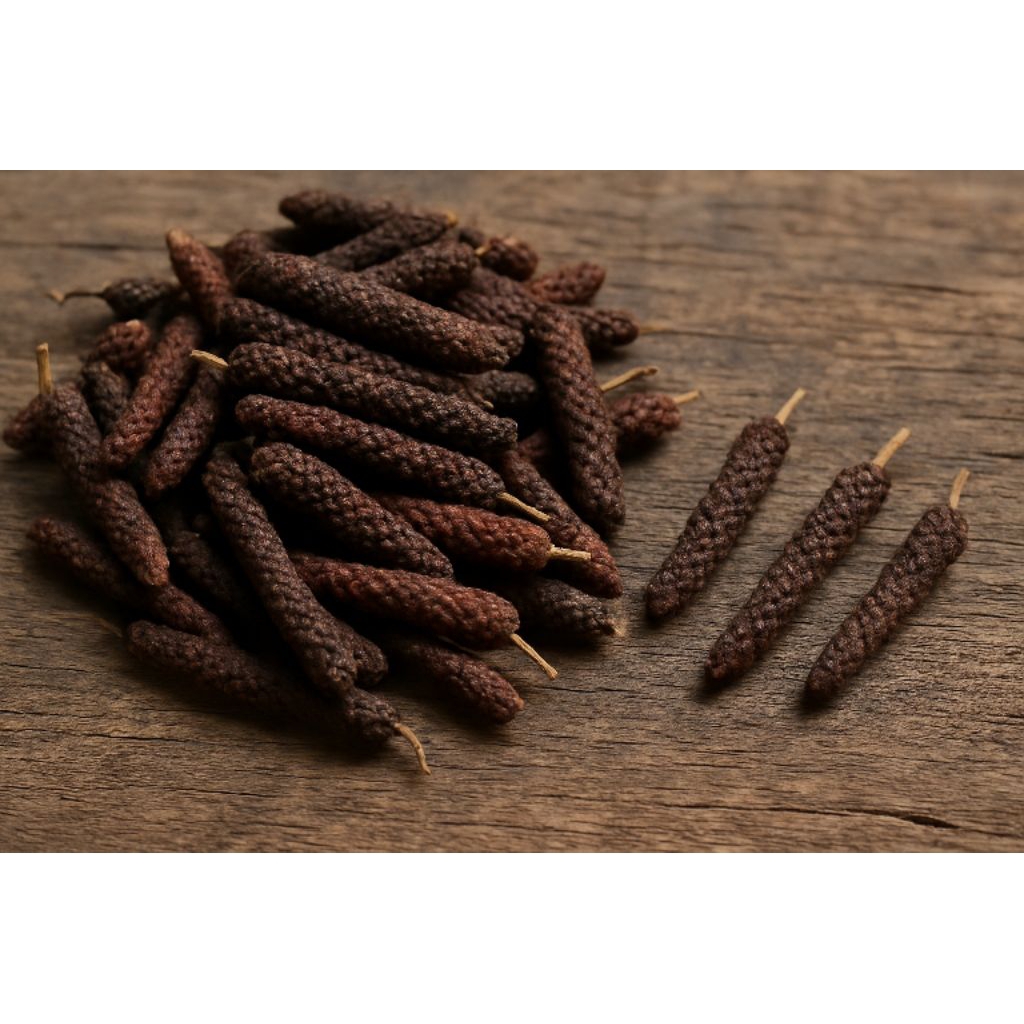 

Cabe Jawa // Cabe Jamu // Cabe Puyang // Javanese Pepper // piper retrofractum