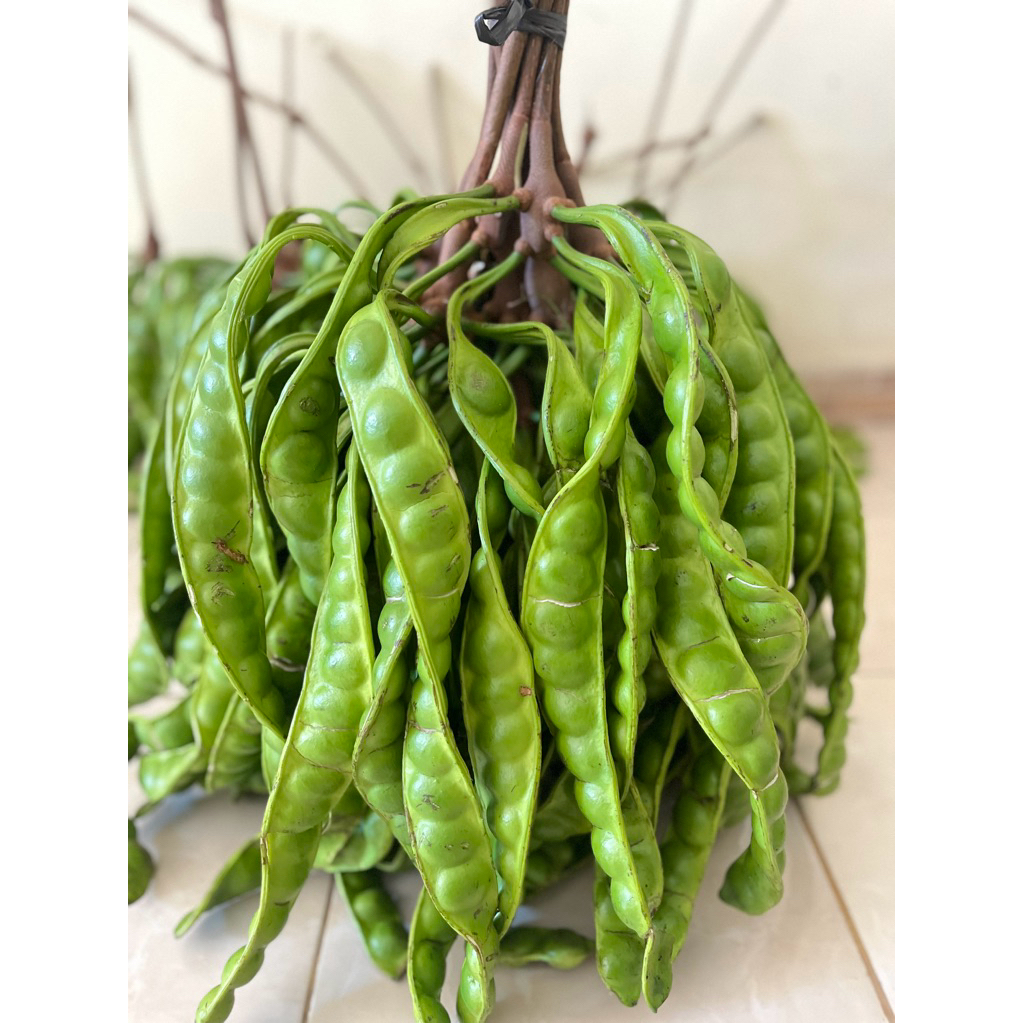 

pete super fresh 5 papan/5lonjor